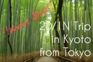 Tokyo to Kyoto : the Cheapest Way to Travel