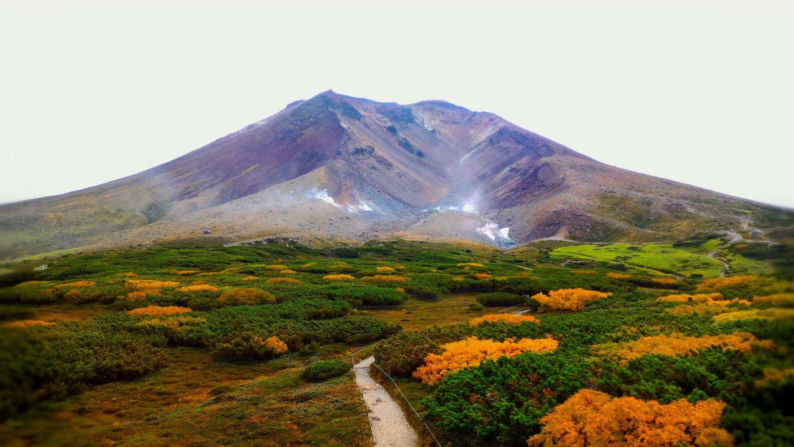 The first autumn leaves in Japan: Mt Asahidake