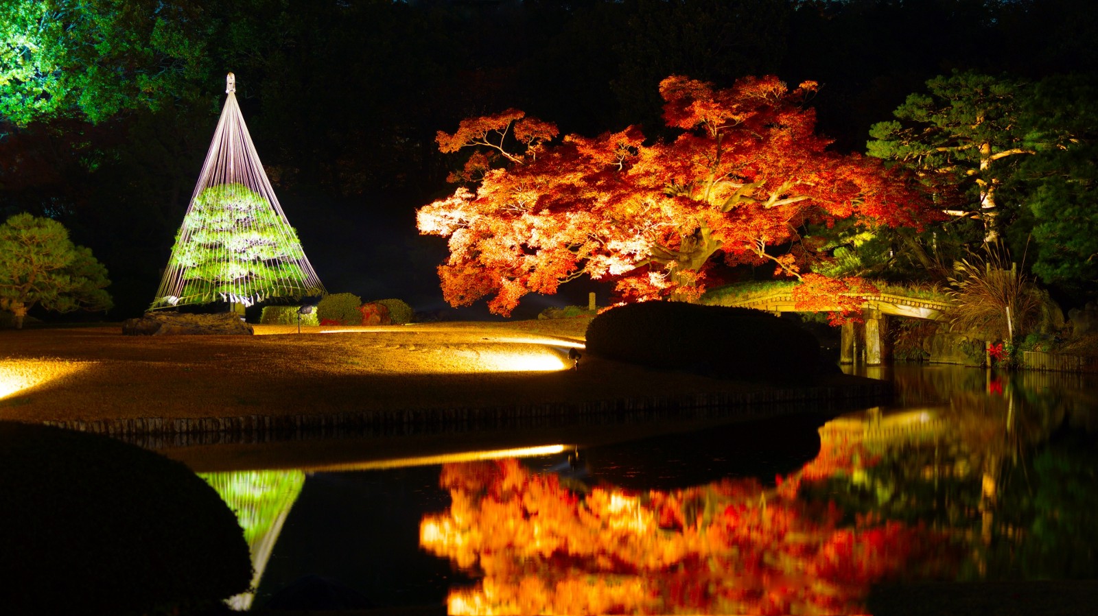 Illuminated Rikugien with autumn leaves