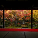 圓光寺：京都最佳隱藏寺廟