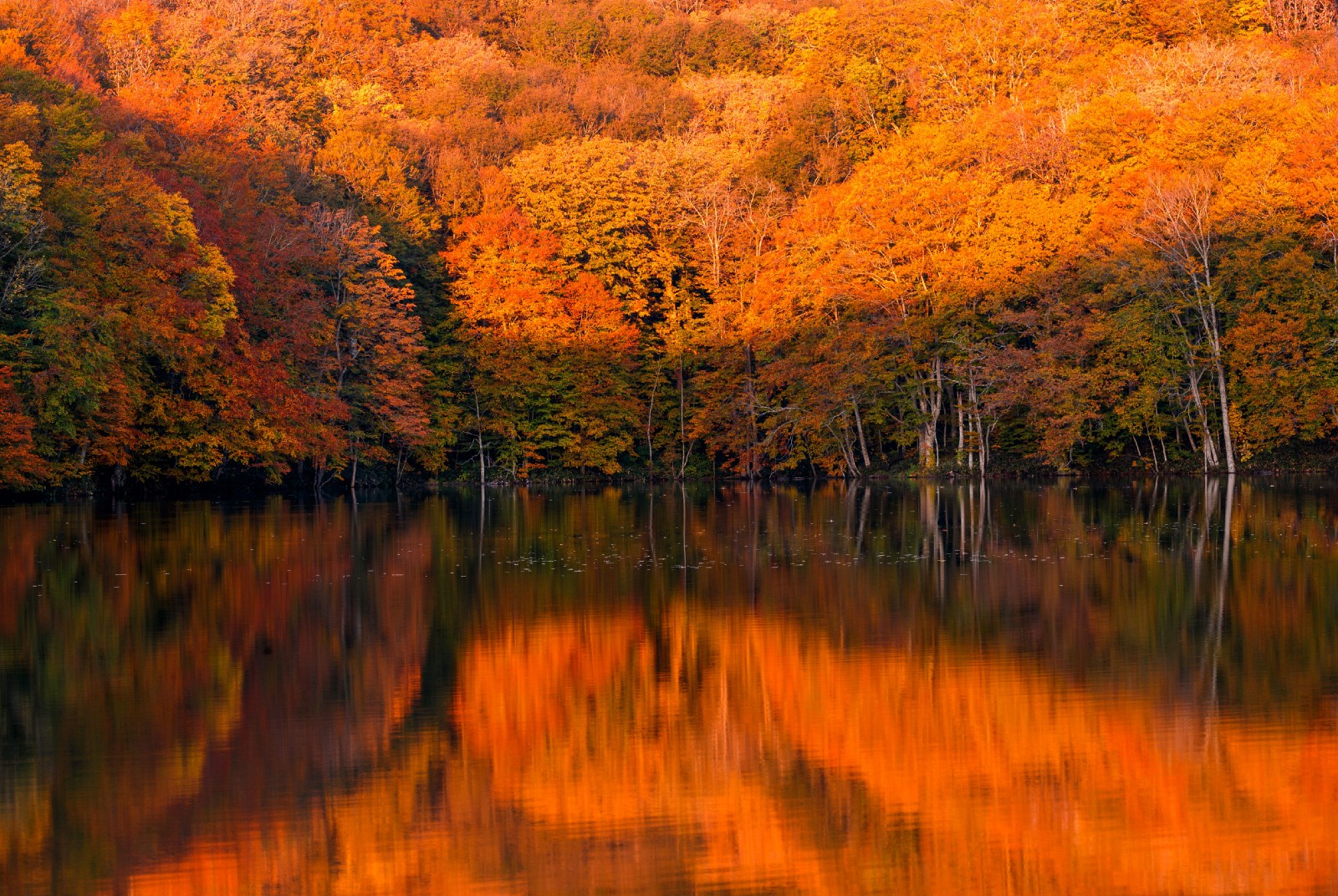 10 Best Places to Visit in Japan in Autumn 2024