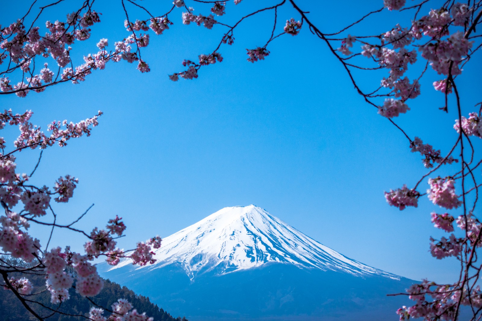 5 Travel Destinations Where You Can Directly Access From Narita Airport Japan Web Magazine