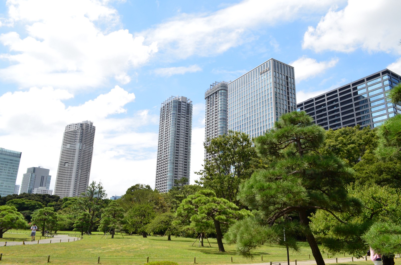 Oasis in the city: Hama Rikyu Garden surrounded by high-rise buildings