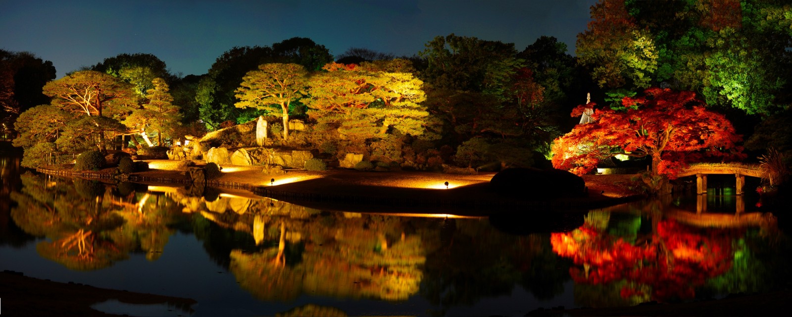 japanese garden at night