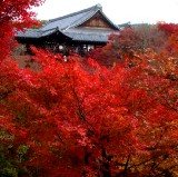東福寺：京都欣賞秋葉的最佳寺廟！