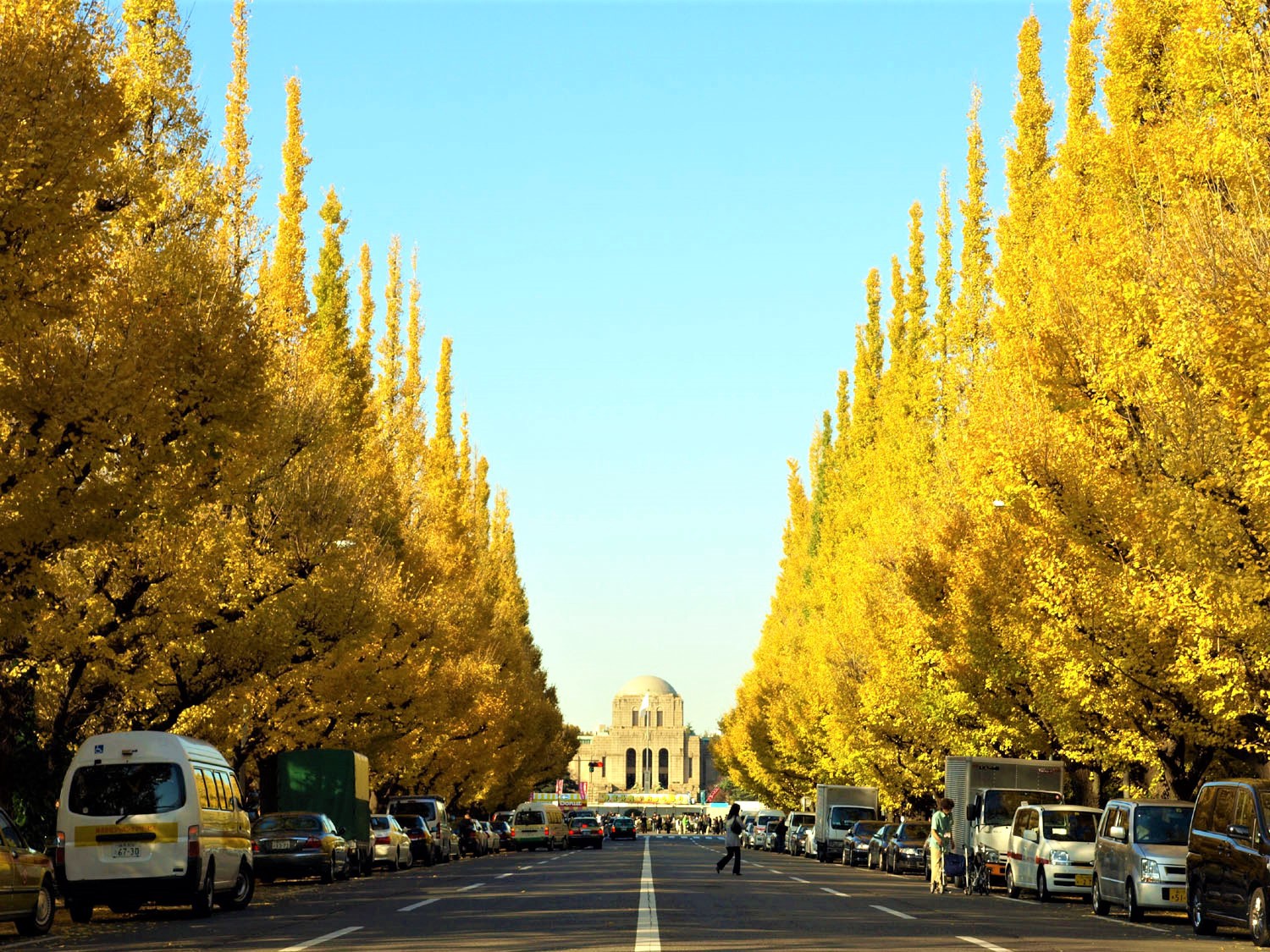 tourist spot in tokyo during autumn