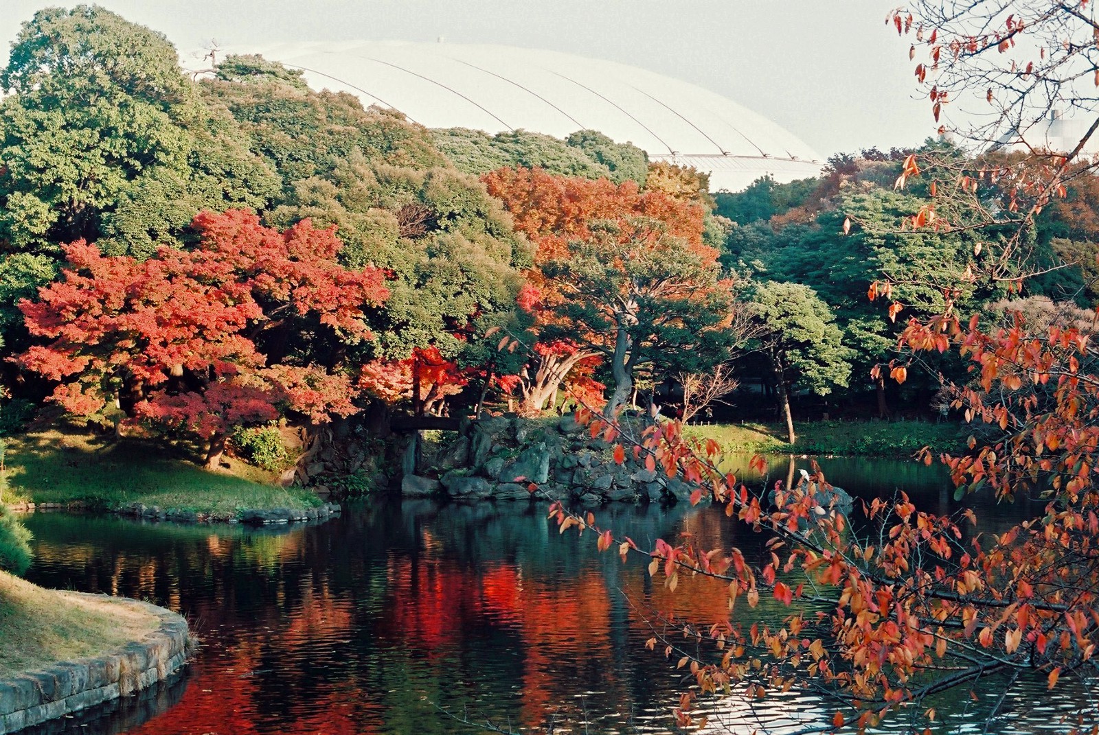 tourist spot in tokyo during autumn