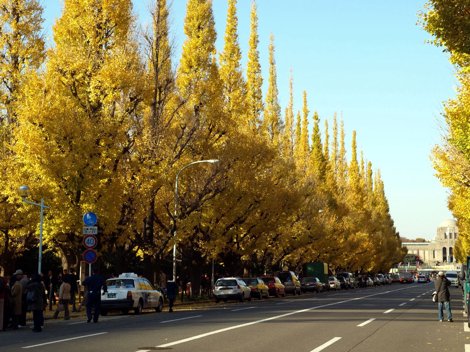 tourist spot in tokyo during autumn