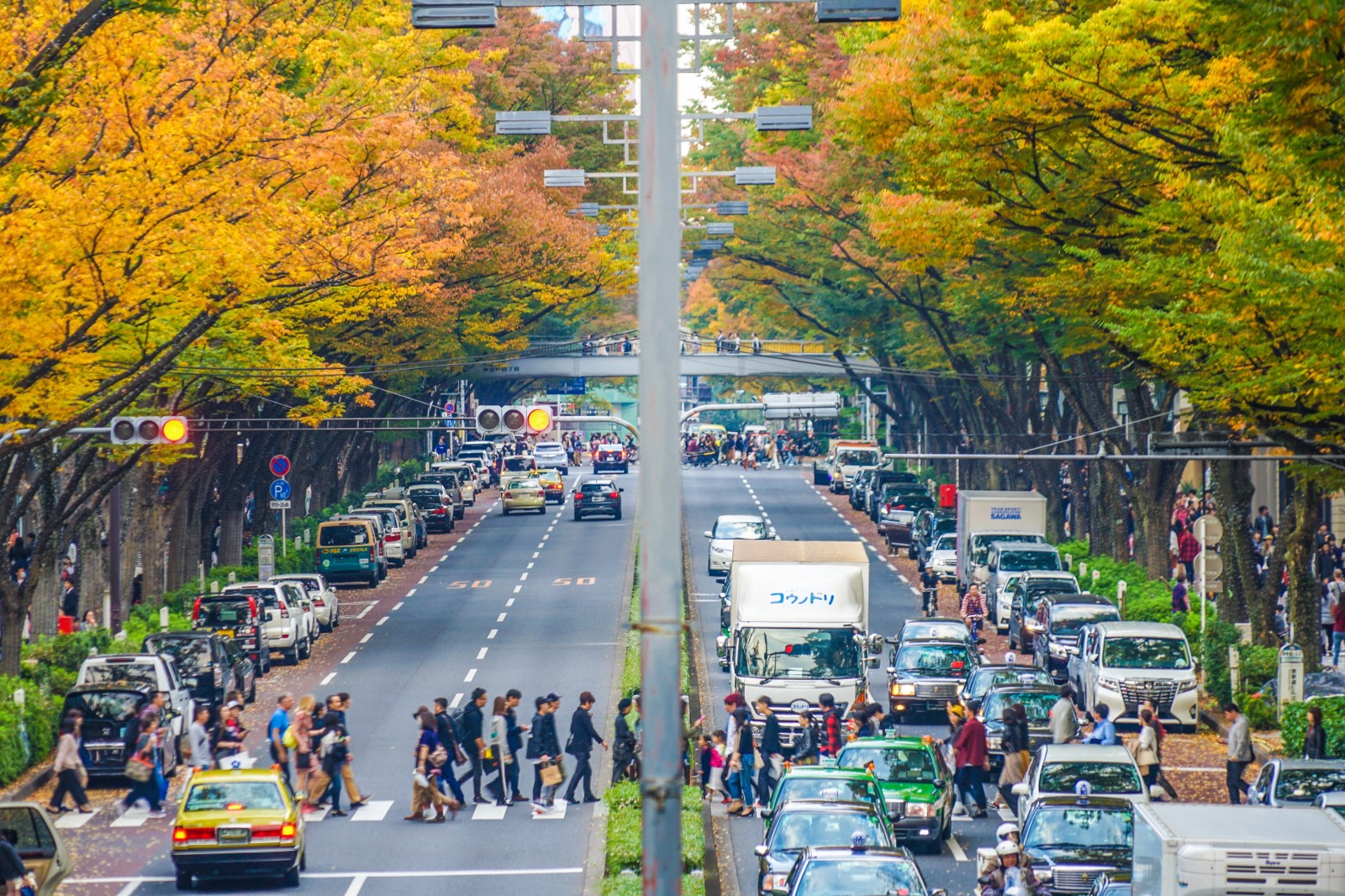 tourist spot in tokyo during autumn