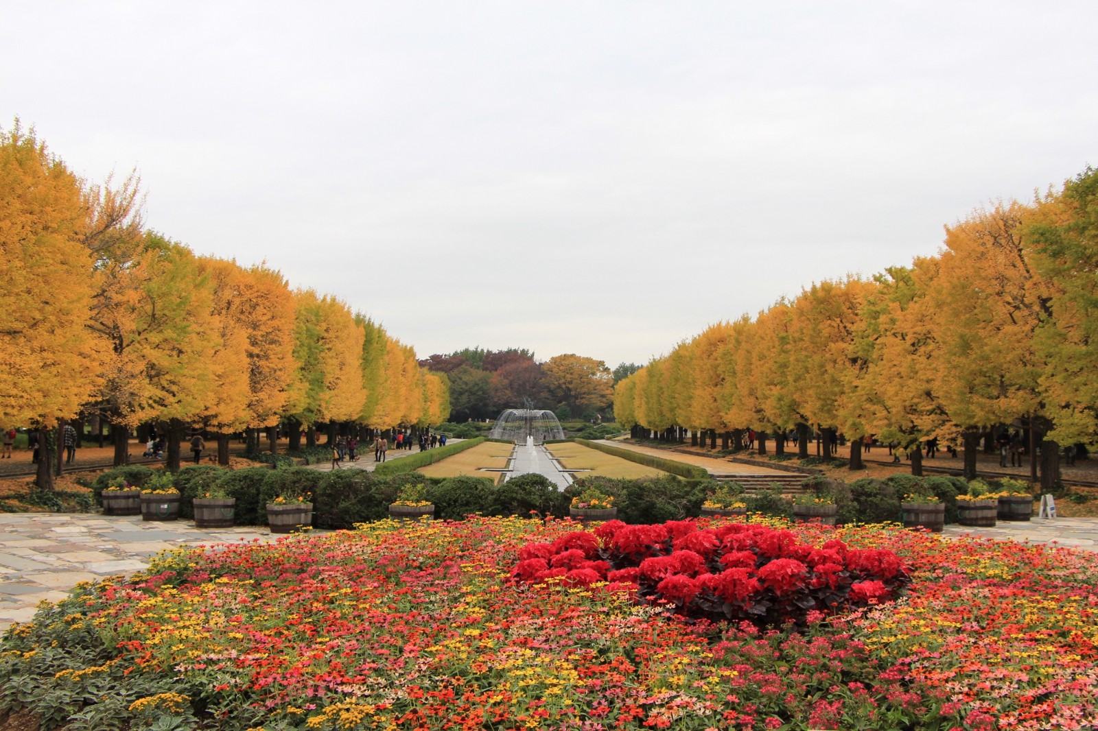 tourist spot in tokyo during autumn