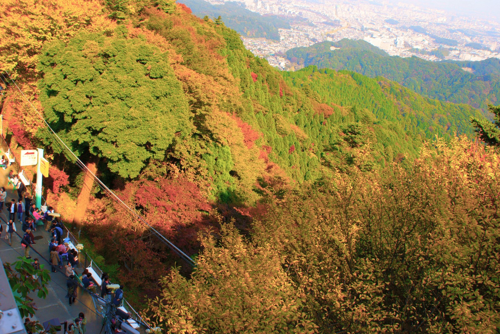 tourist spot in tokyo during autumn