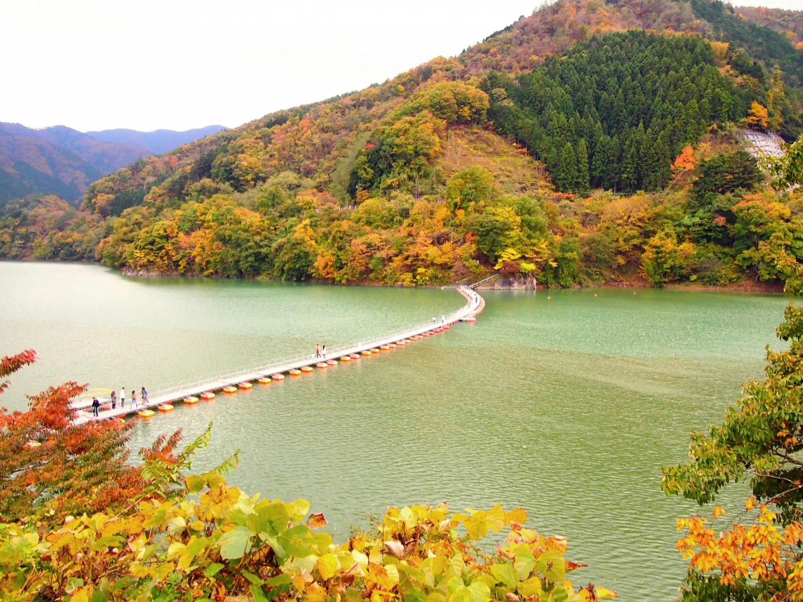 tourist spot in tokyo during autumn