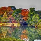東京8大最佳日本庭園