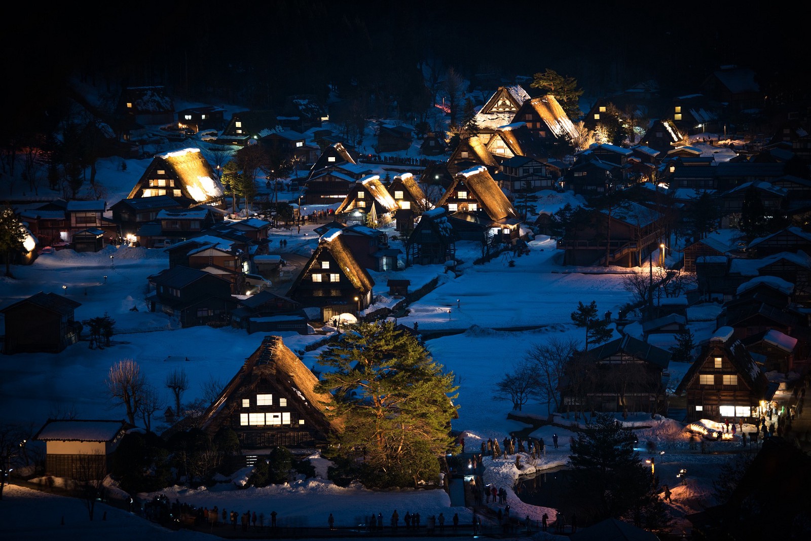 Illuminated Shirakawago Village at night