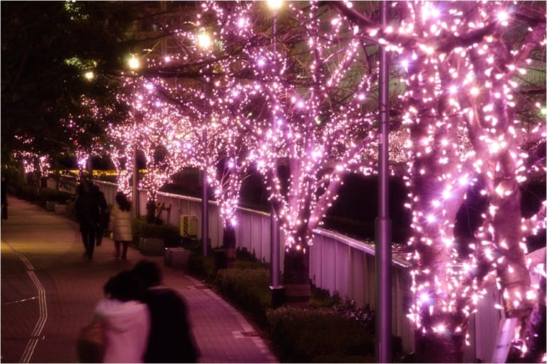 Meguro River Minna no Illumination 2018