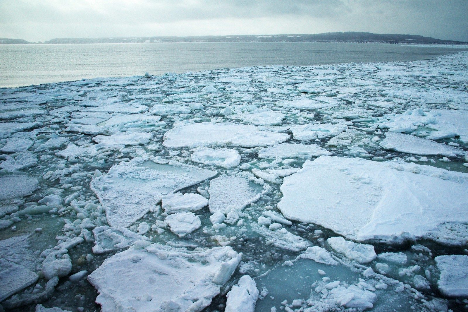 Drift ice on Hokkaido ocean