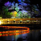 Kyoto Arashiyama Hanatouro Illumination