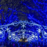 Best Winter Illumination Spots in Osaka 2019
