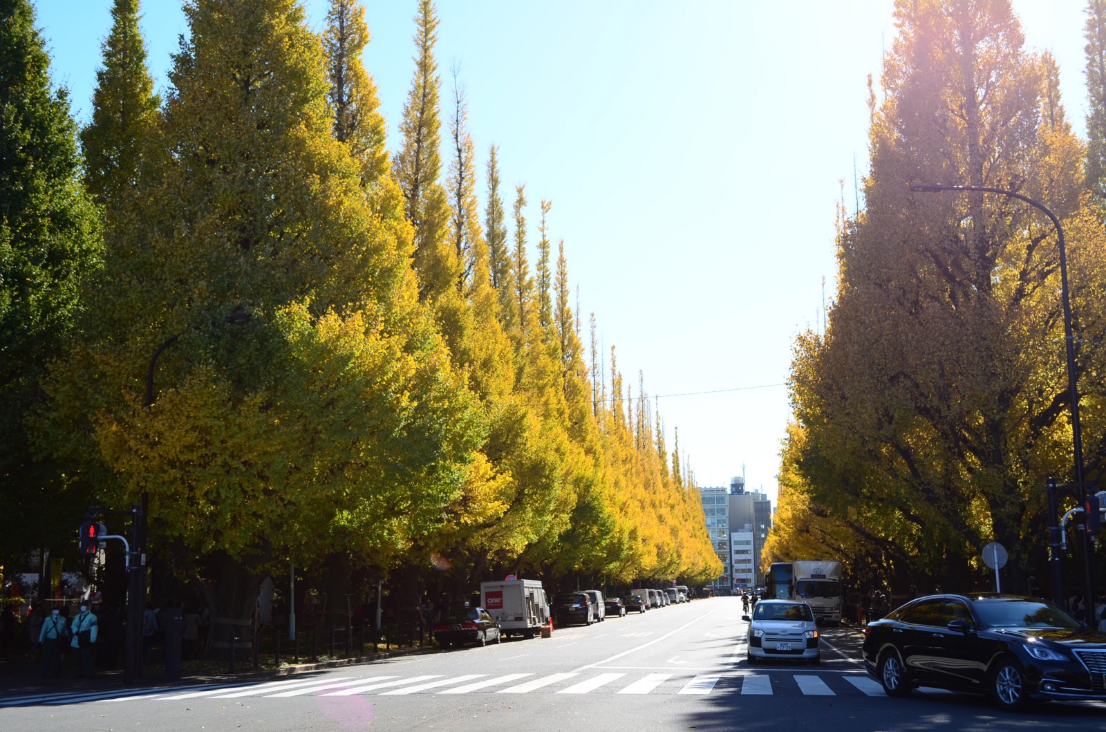 Going up Jingu Gaien Gingko Festival Japan 2024 2