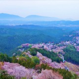 日本2024年春季十大最佳旅遊地點