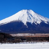 從東京出發的冬季一日遊：五個東京附近最佳的遊覽地點