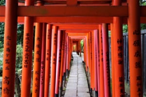 Nezu Shrine: Tokyo’s Most Underrated Shrine