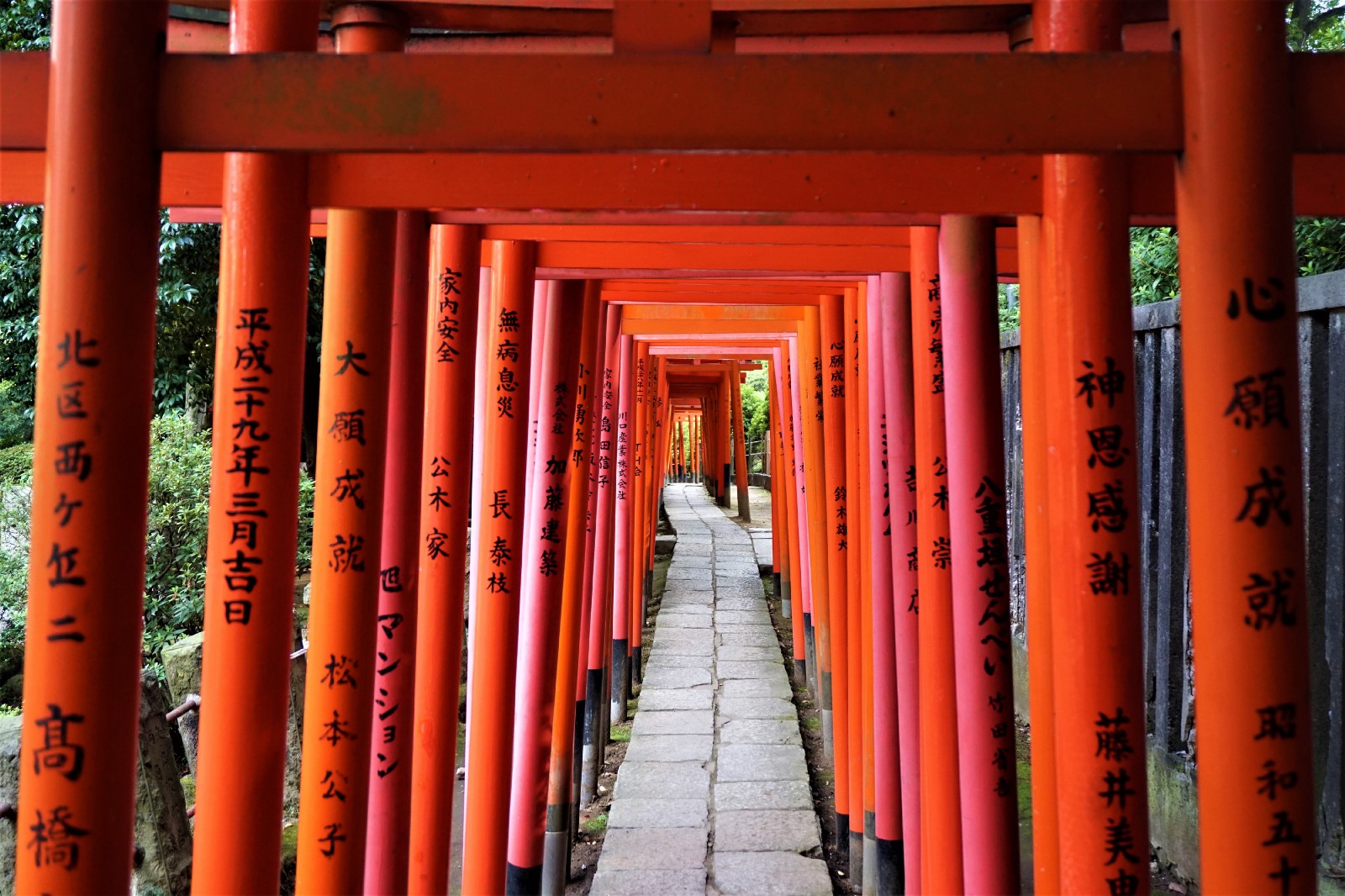 travelling ke Nezu jinja Shrine Tokyo