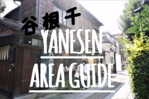 YANESEN: Unspoiled Low-Key Neighbourhoods in Tokyo