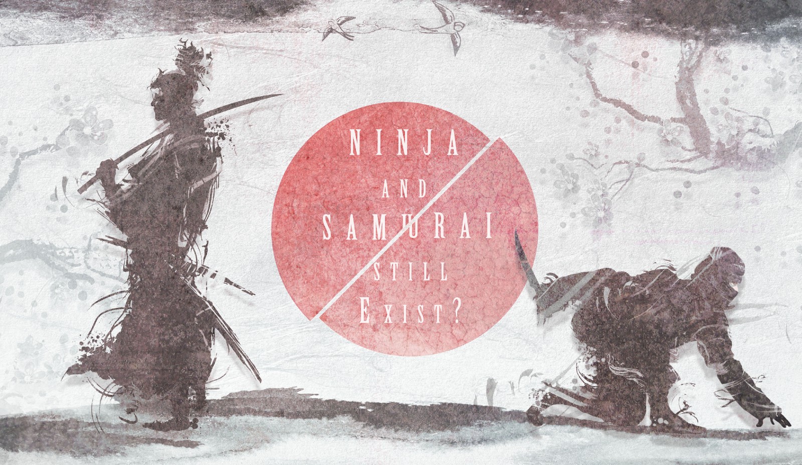 Ninja History: Frequently Asked Questions from Japan