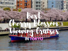 6 Best Cherry Blossom Viewing Cruises in Tokyo