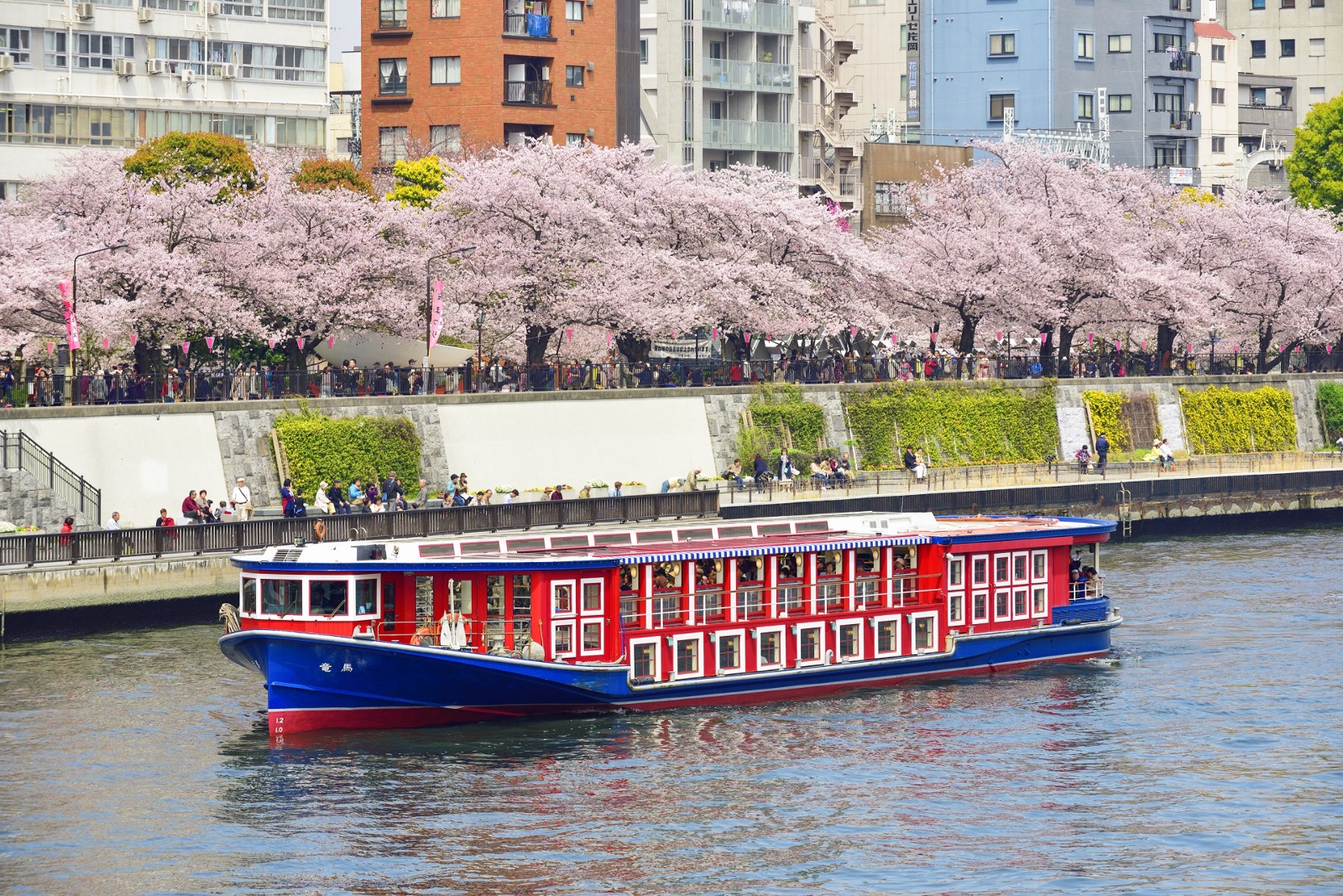 6 Best Cherry Blossom Viewing Cruises in Tokyo Japan Web Magazine