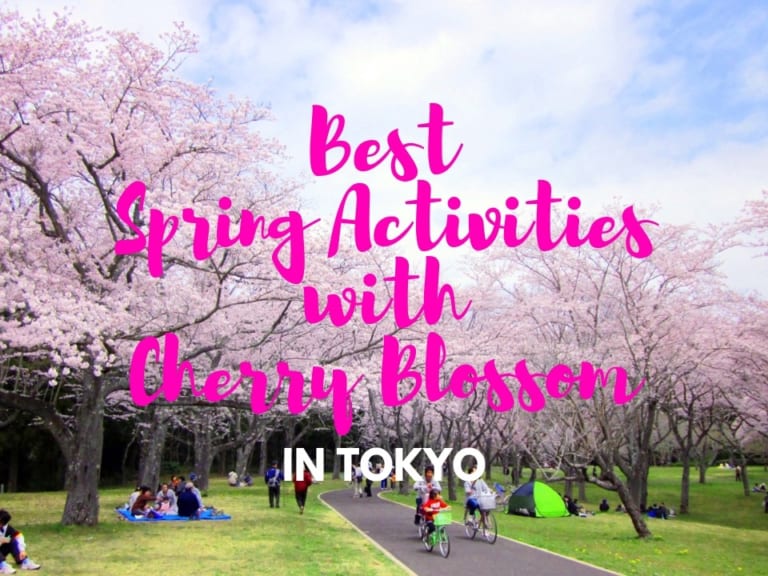 Spring in Tokyo: Spring Activities with Cherry Blossoms
