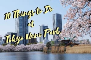 Ueno Park: 10 Best Things to Do