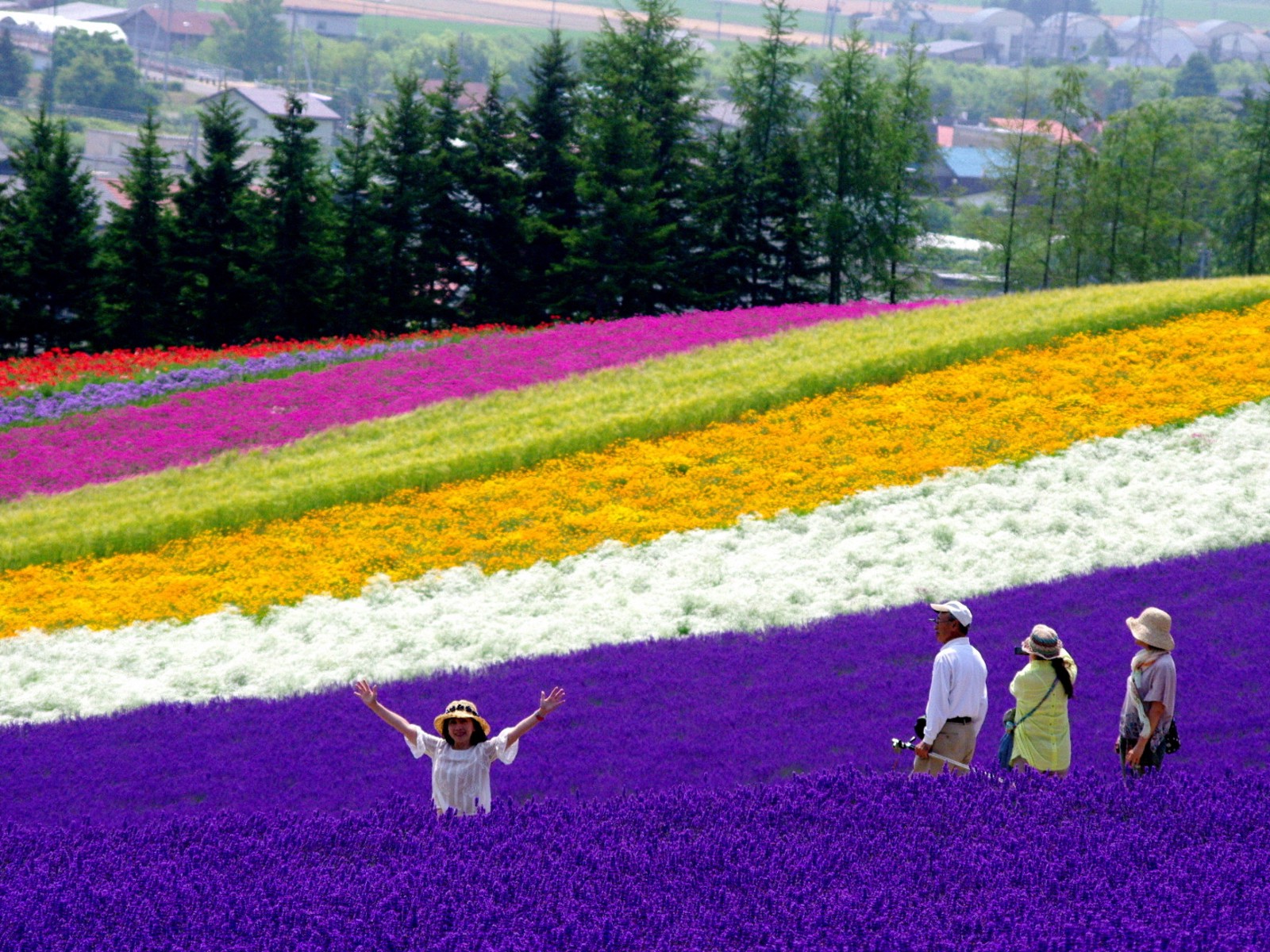 10 Best Hokkaido Tour and Activities Spring/Summer 2020 ...