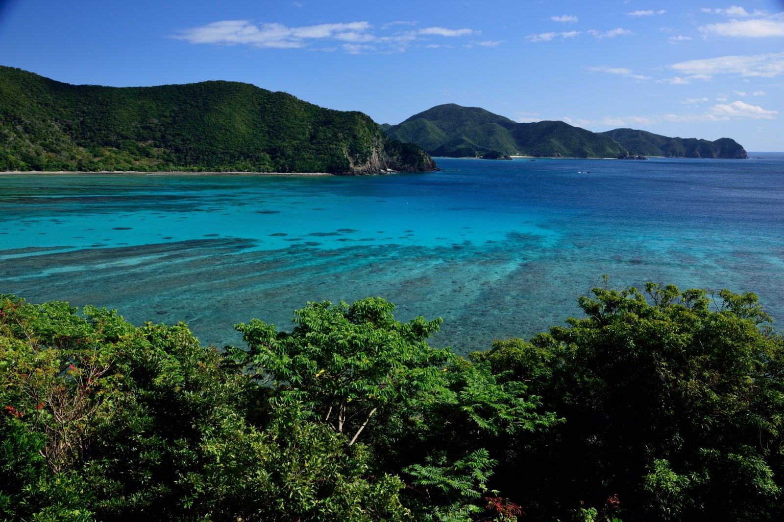 Amami Oshima's beautiful ocean and rich nature