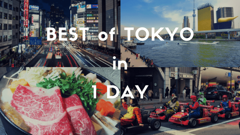 one day trip tokyo