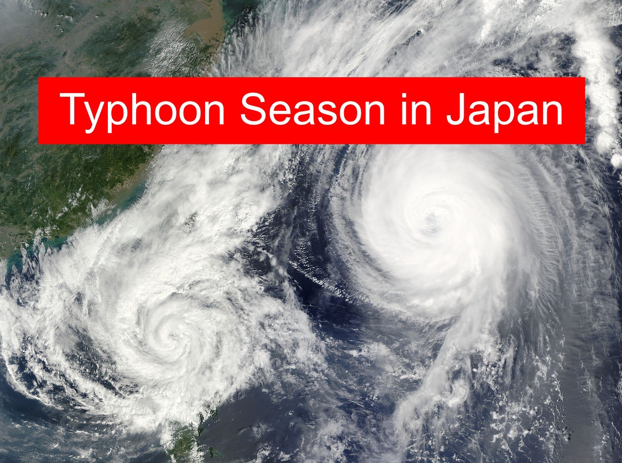 Typhoon In Japan 2024 - Alysia Merrili