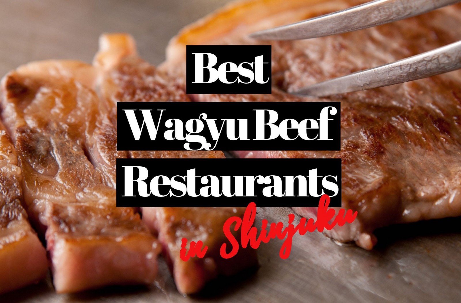 6 Best Wagyu Beef Restaurants in Shinjuku Tokyo