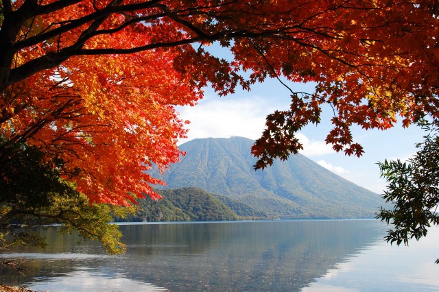 Autumn leaves at Lake Chuzenji in Nikko