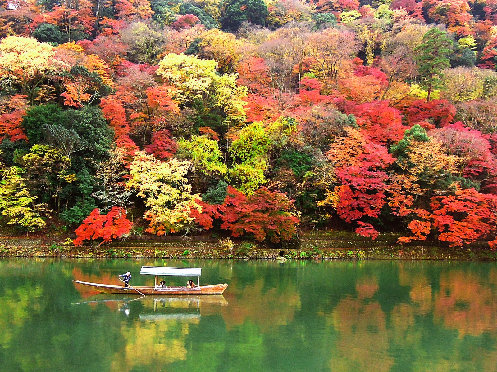 Autumn leaves at Arashiyama, Kyoto
