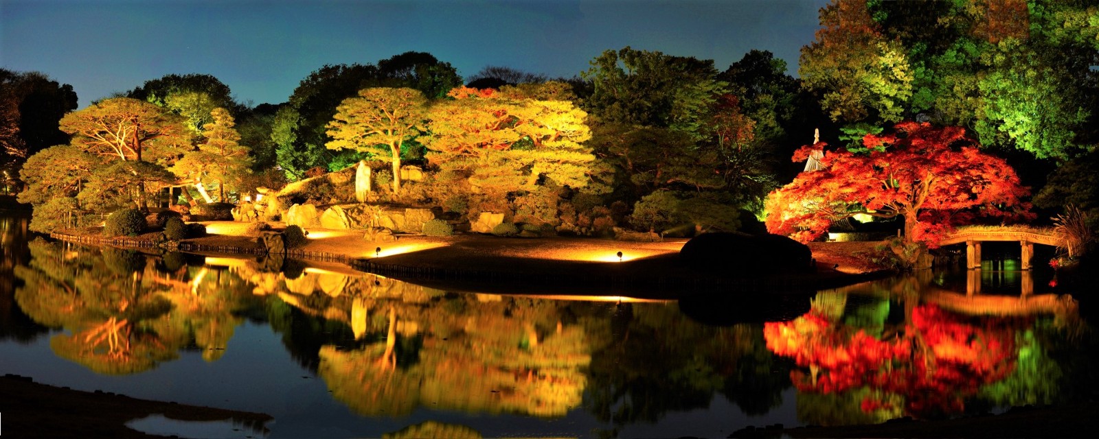 Illuminated traditional Japanese garden with autumn leaves 
