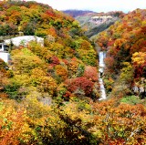 從東京出發的秋季一日遊：東京附近最佳賞秋景點