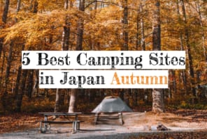 東京附近5個欣賞秋葉最佳的露營地點
