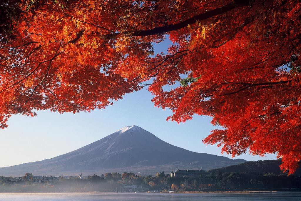 Fuji Kawaguchiko Autumn Leaves Festival 2023 - Japan Web Magazine