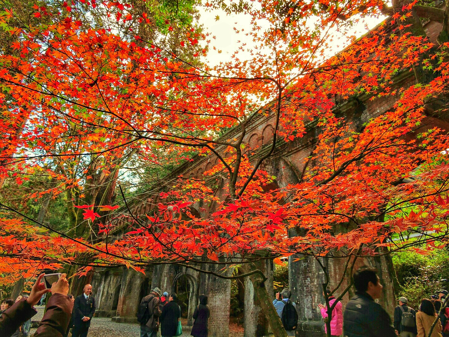 10 Best Autumn Leaves Spots in Kyoto 2020 - Japan Web Magazine