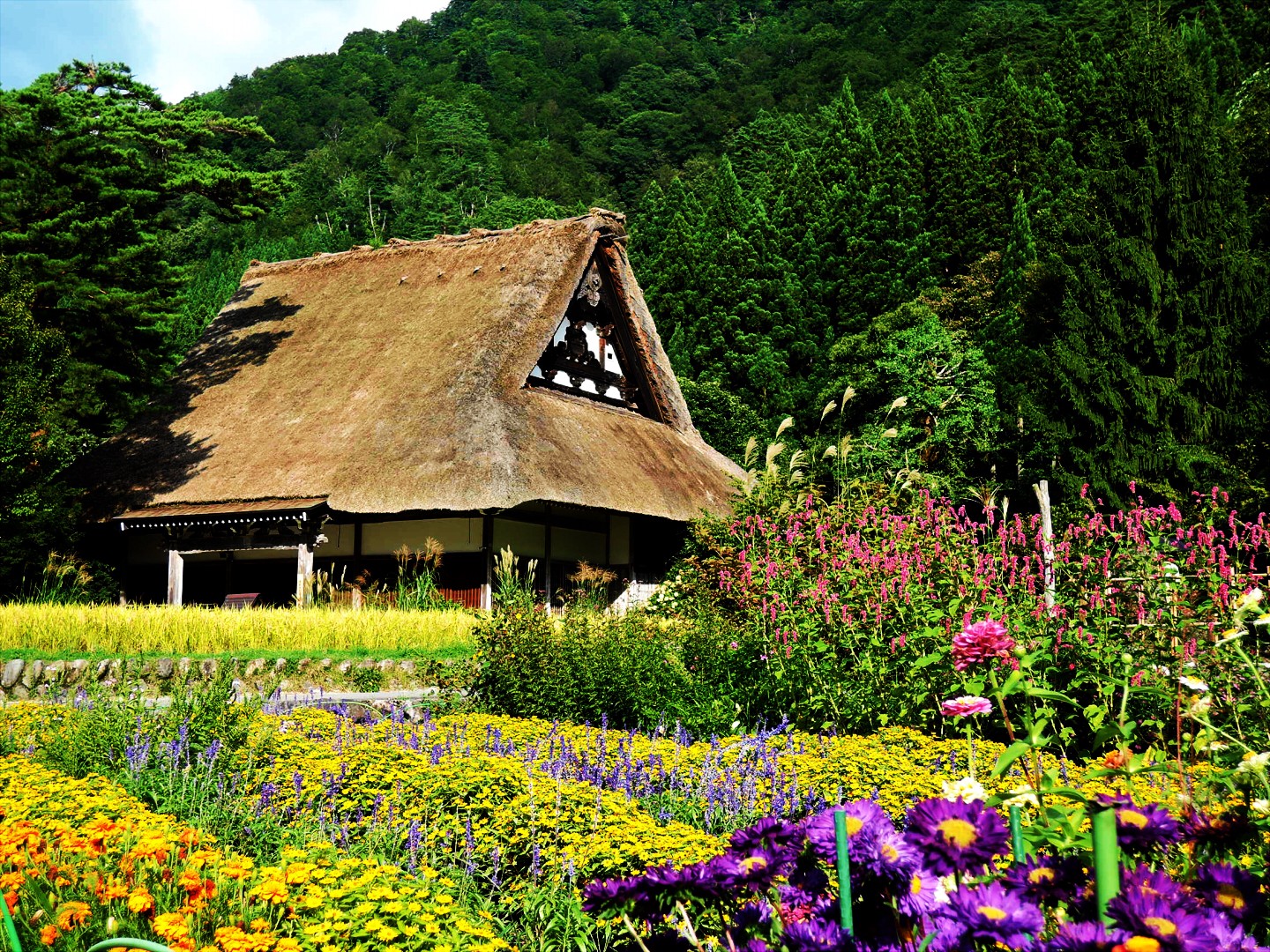 Central Japan: 12 Best Tours and Activities