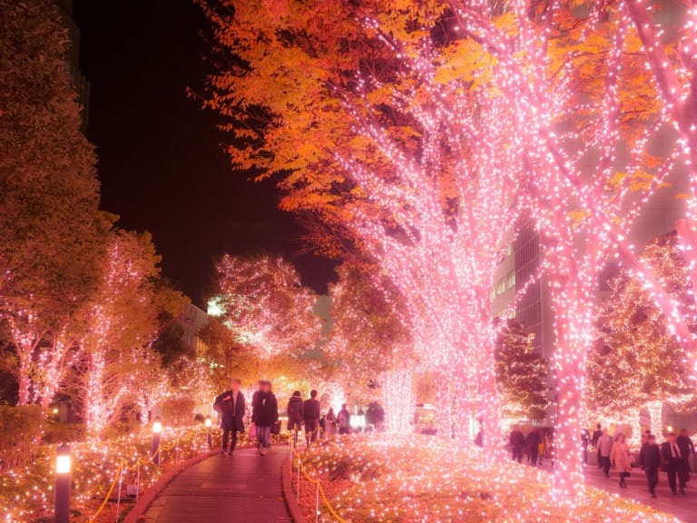 Shinjuku Winter Illumination 2019-2020