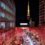 十二月的東京：最佳活動和觀光景點