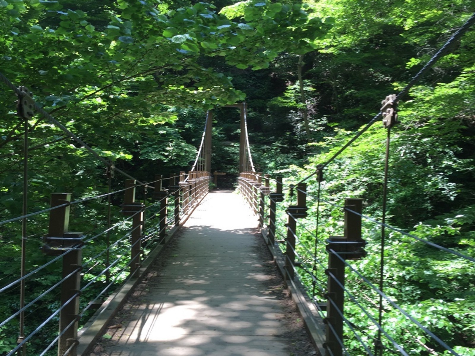 The hiking route at Mt Takao