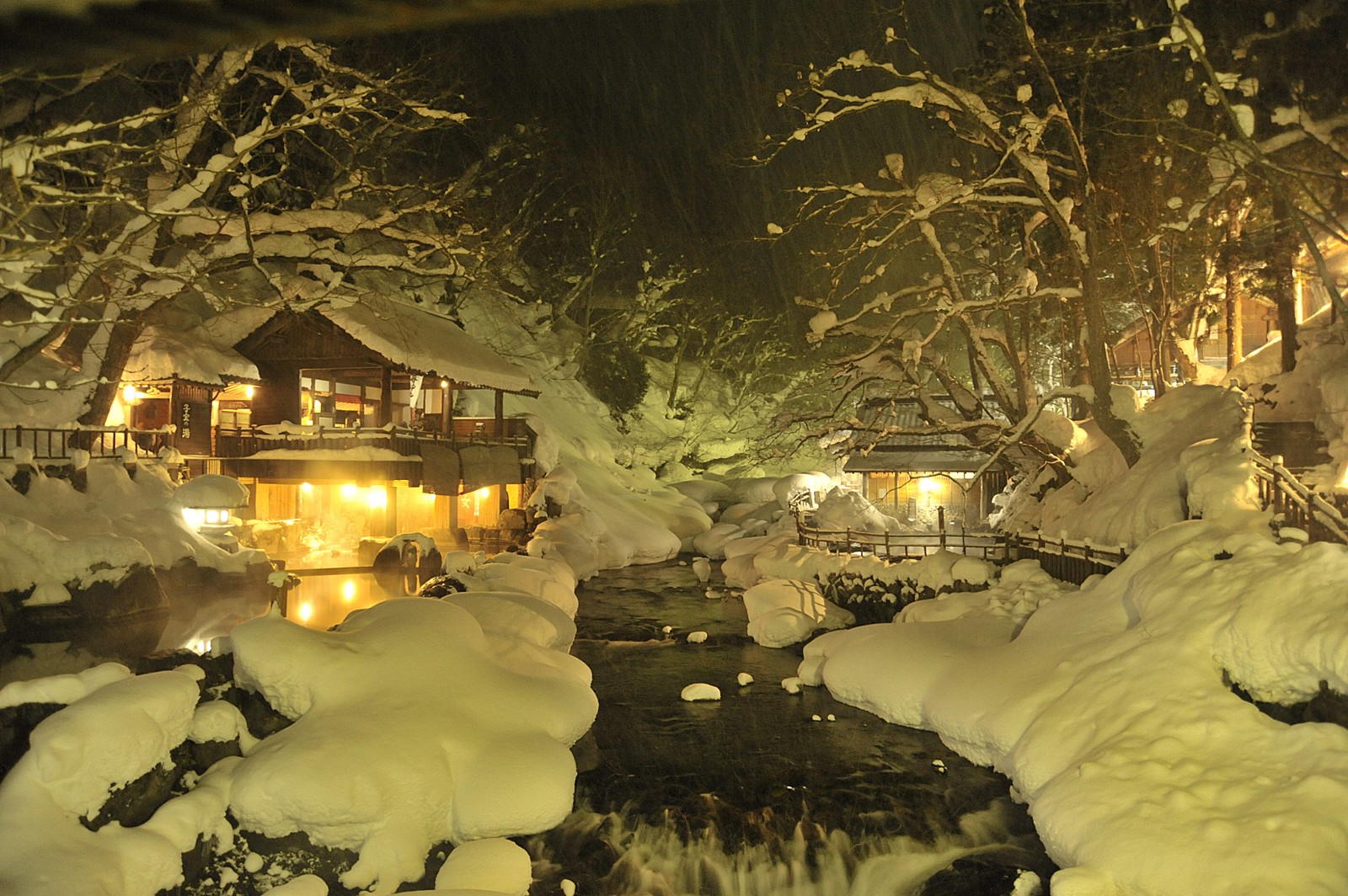 tokyo tourist attractions in winter